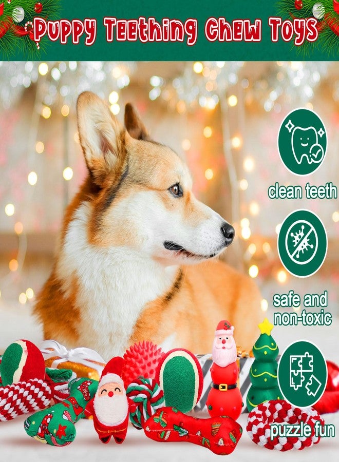 Suilung 16 Pcs Christmas Dog Advent Calendar 2025 Santa Claus Squeaky Toys Xmas Candy Cane Interactive Ball and Bones Chew Toy for Small Medium Large Pets Puppy Teething Training Gift(Xmas) - Image 3